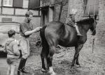 1963 Ralf Hamacher , Pferd Flinette und Kinder